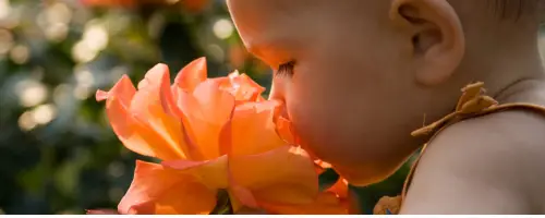 Baby van 20 weken oud ontdekt een nieuwe geur als hij aan een oranje bloem ruikt
