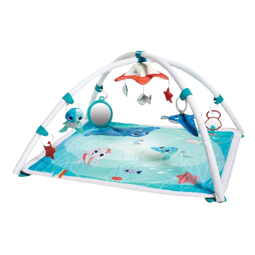 Tiny Love Treasure the Ocean 2-in-1 Gymini
